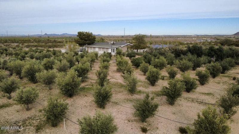 Screenshot 2026-01-29 162029