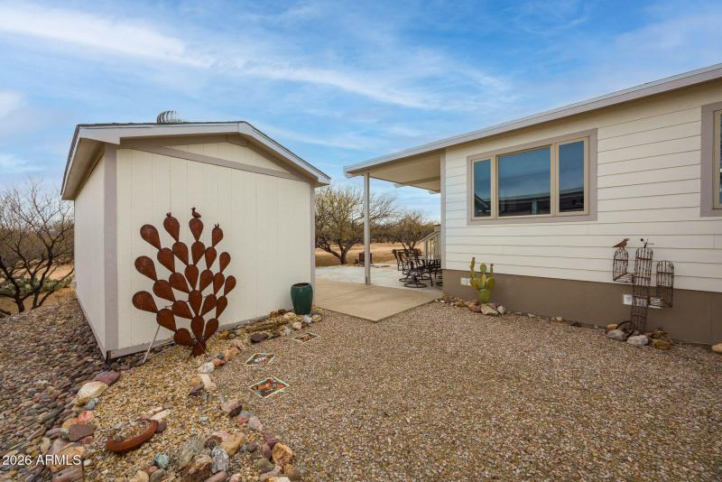 1030-barrelcactus39_mls-24