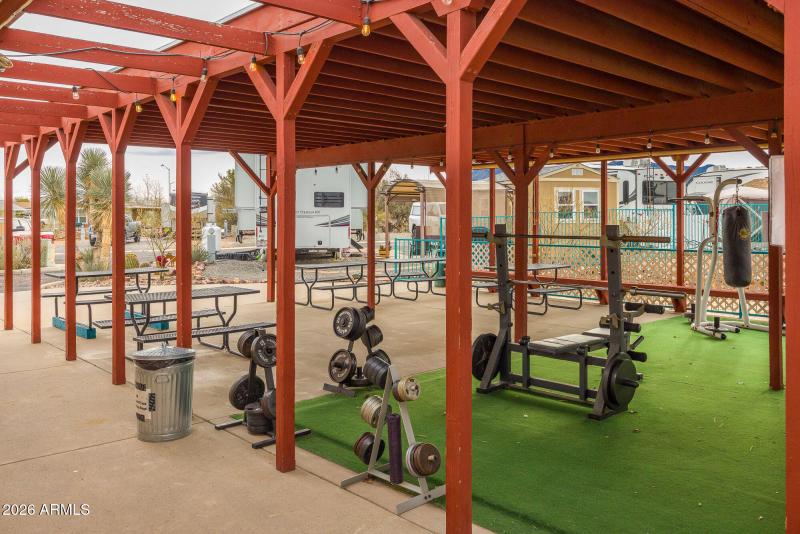 1030-barrelcactus39_mls-36