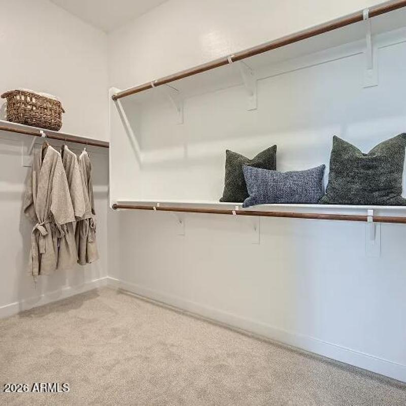 Owners Walk in Closet