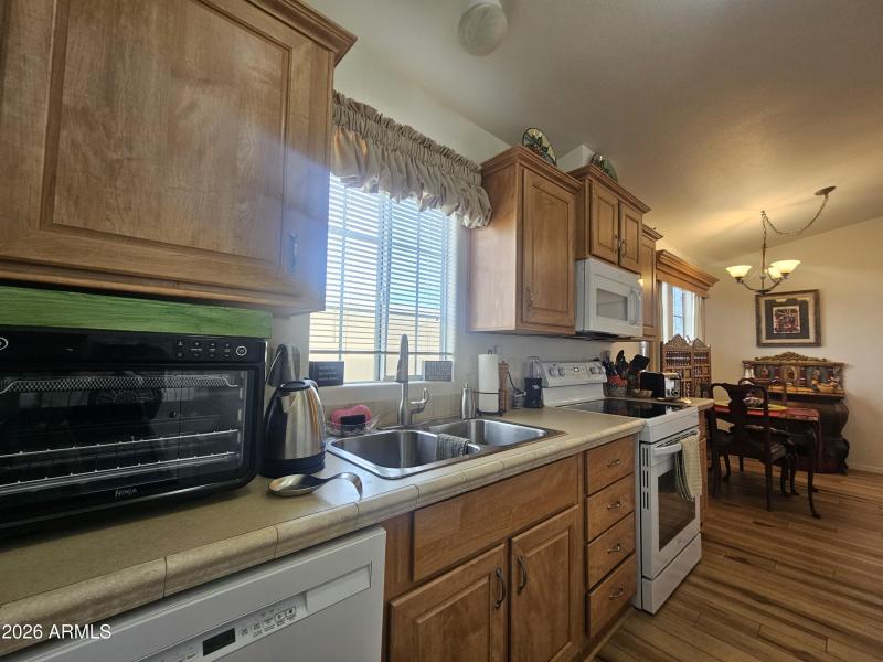 20260129_101806 - Copy