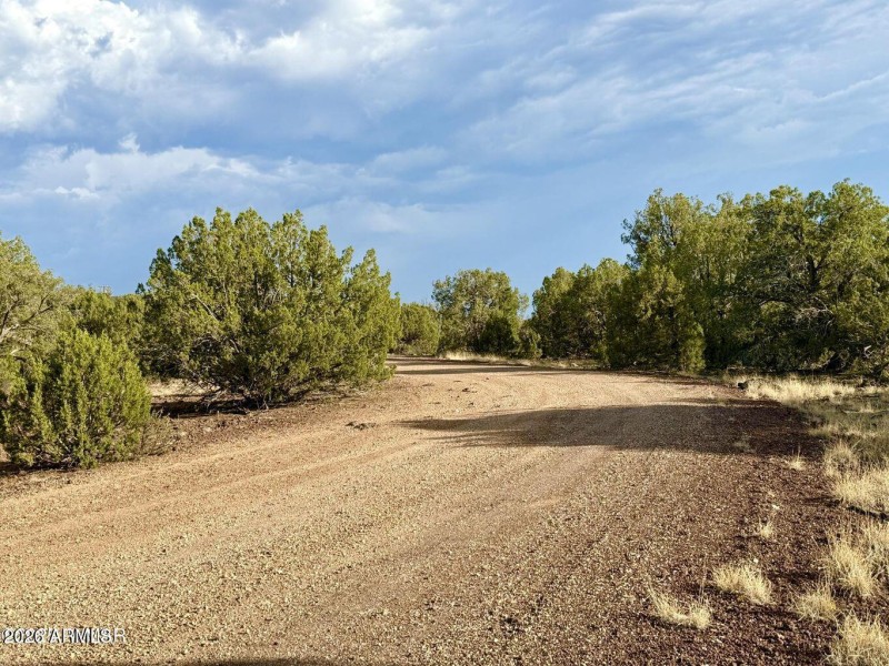 20250824020429764087000000-o