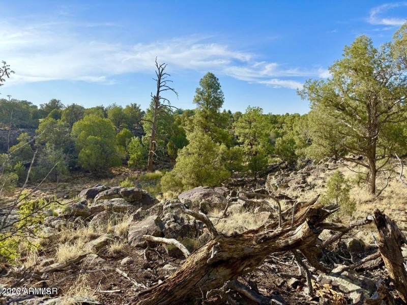 20250824021227862372000000-o