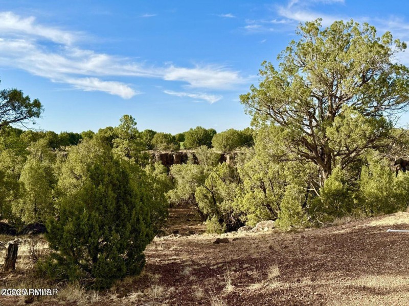 20250824021746395687000000-o