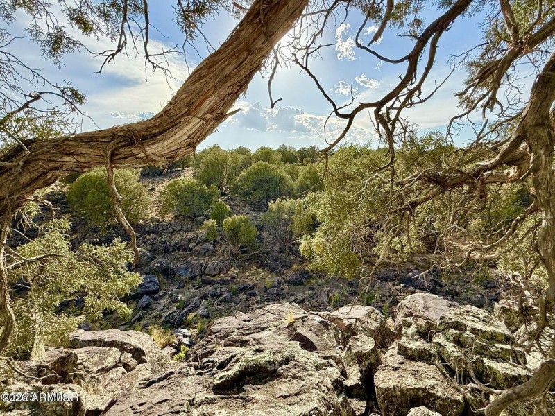 20250824021016930841000000-o