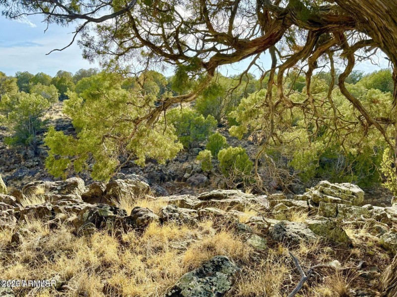 20250824021209701772000000-o