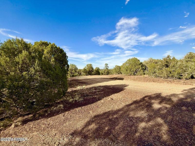 20250824020526324840000000-o