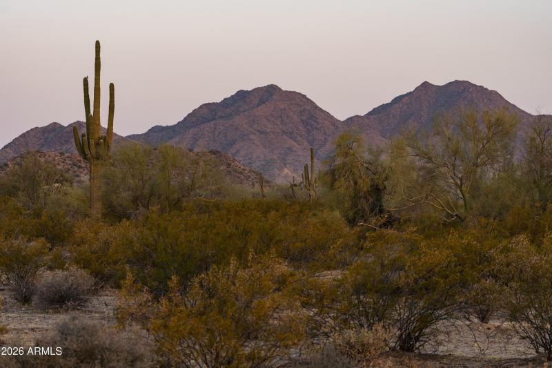 AZ_Ladera Trails_Community Views_2