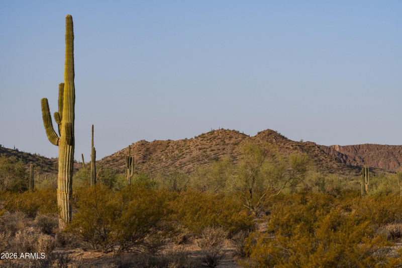 AZ_Ladera Trails_Community Views_10