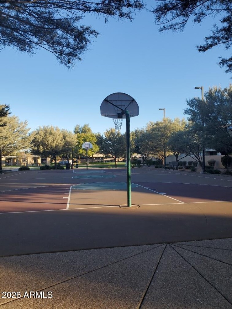 Basketball court