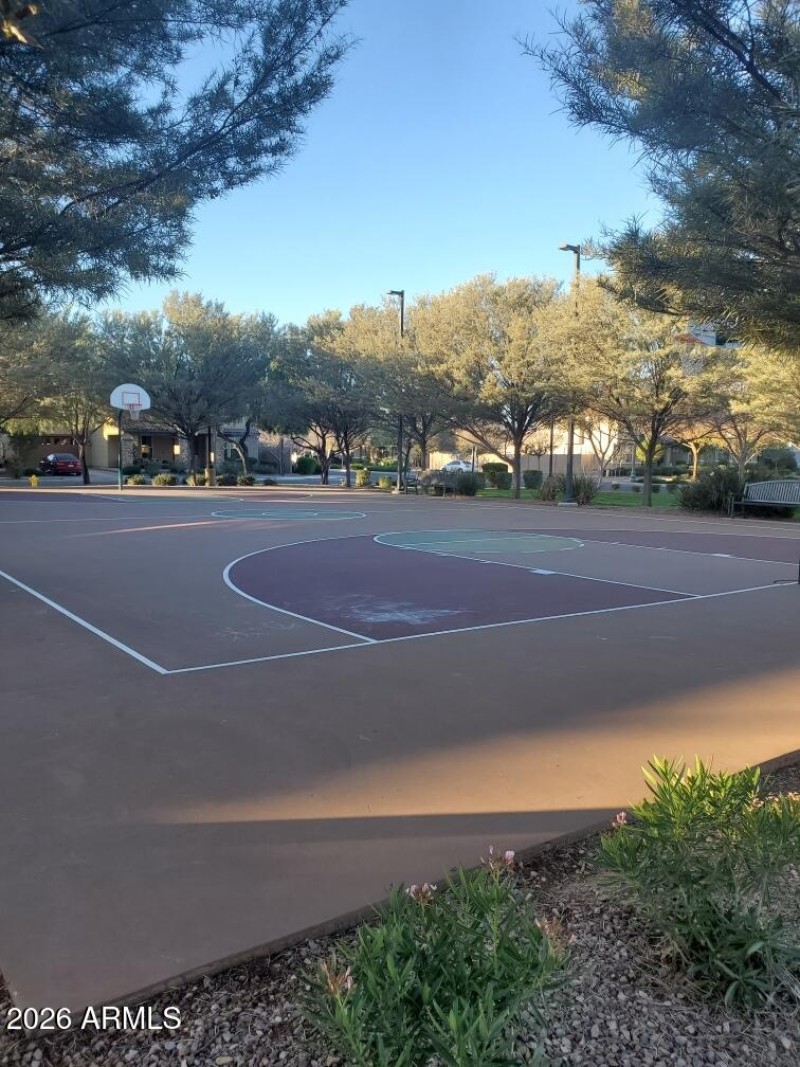 Basketball court 2
