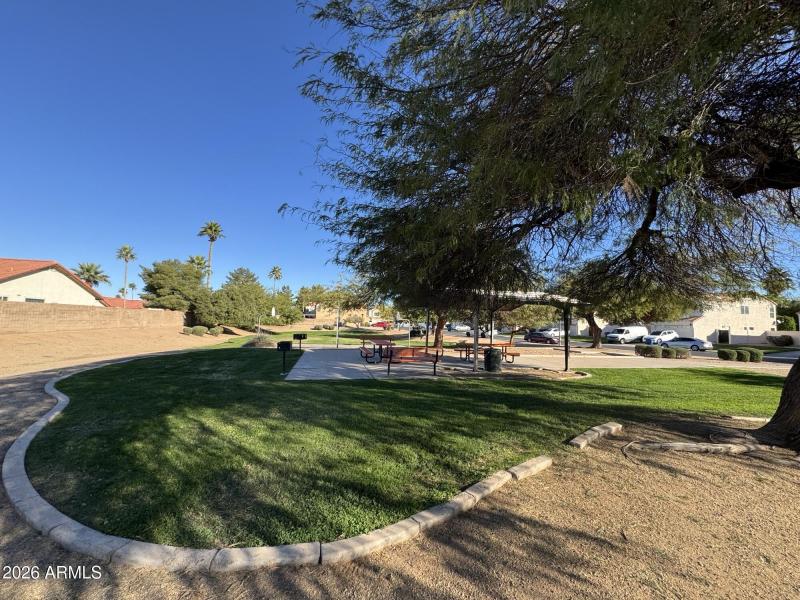 Shaded park ideal for quiet moments