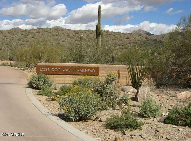 Lost Dog Wash Trailhead