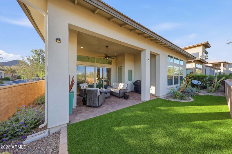 Low Maintenance Turf