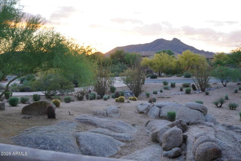 Large boulders, front yard