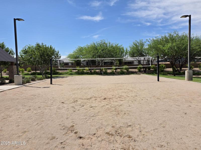 Community Volleyball