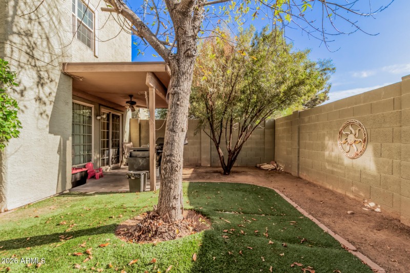 Backyard with extended block wall