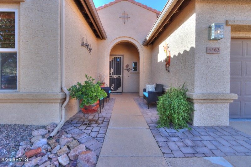 Decorative security door