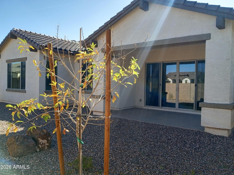 Rear Elevation w/Covered Patio