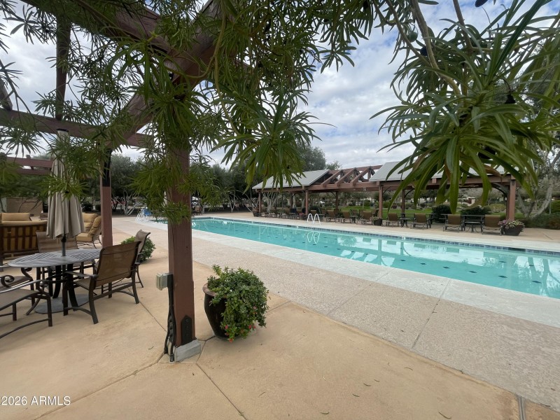 IMG_7666_1769895285614