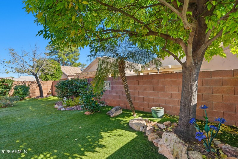 13_Mature Landscaping