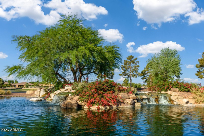 Province Community-Gillespie-7571