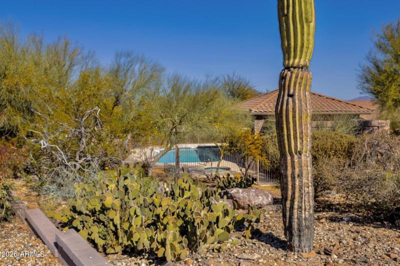 6C6801CE-926C-4650-A7CE-6C773A6E1C2D