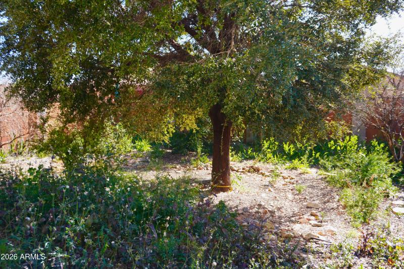 400d4a83-7c5f-4d02-8206-0709cc43e8b4