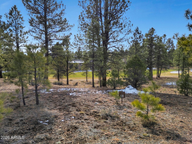 3-web-or-mls-TimberCreekImagery-3