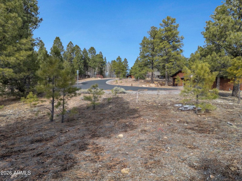 5-web-or-mls-TimberCreekImagery-5