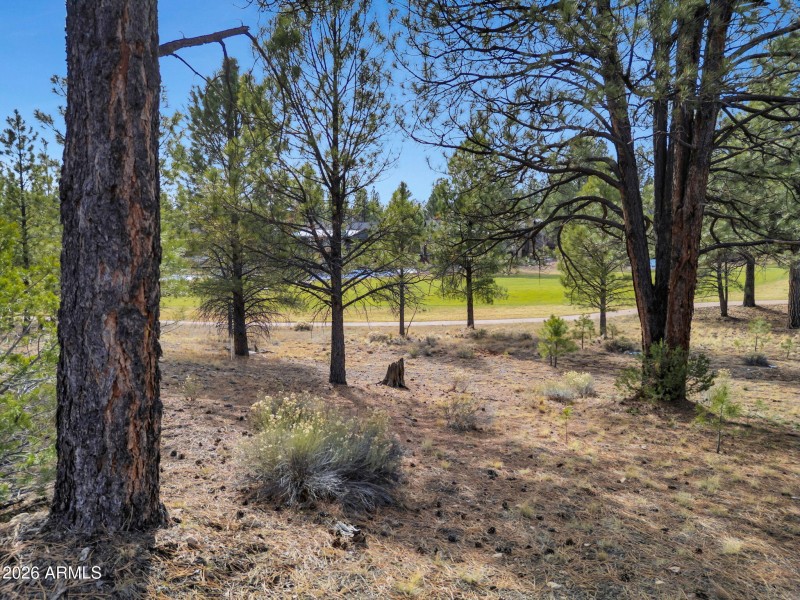 6-web-or-mls-TimberCreekImagery-6