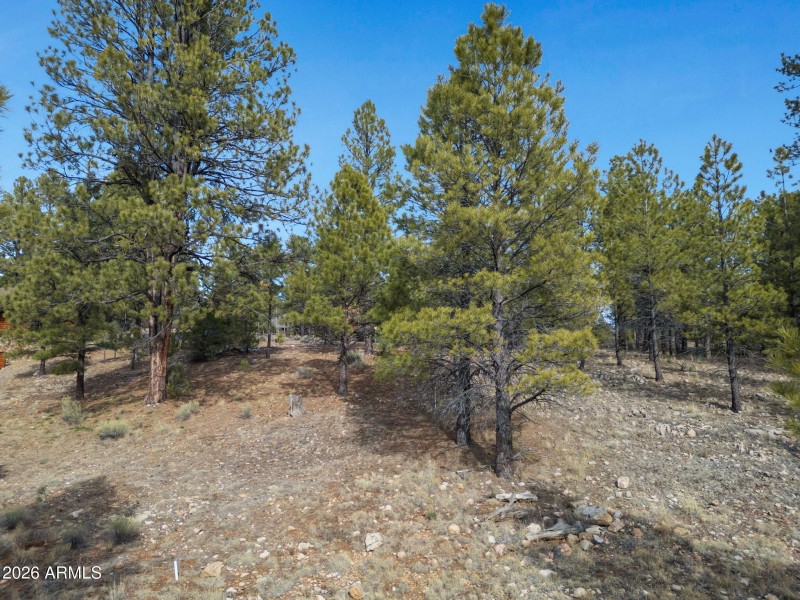 8-web-or-mls-TimberCreekImagery-8