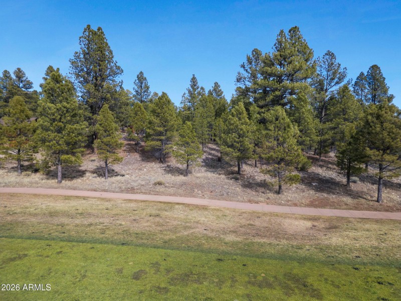 9-web-or-mls-TimberCreekImagery-9