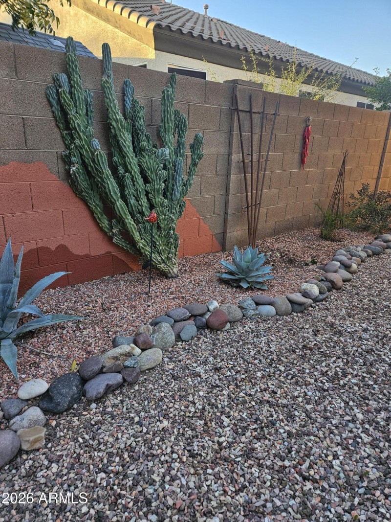 Beautiful cactus designs your backyard.
