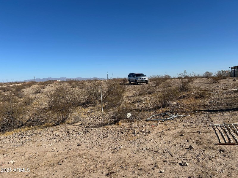 WhatsApp Image 2025-02-20 at 10.02.52 AM