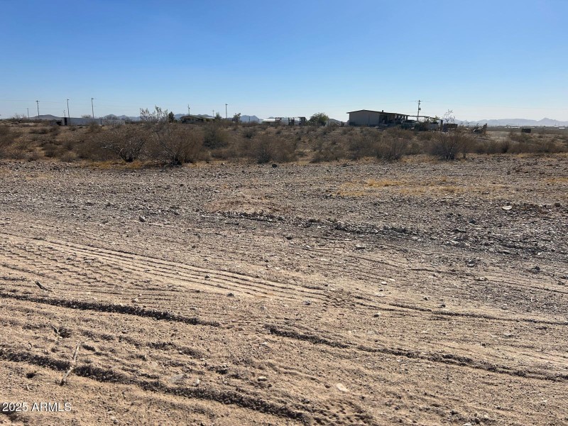 WhatsApp Image 2025-02-20 at 10.02.53 AM