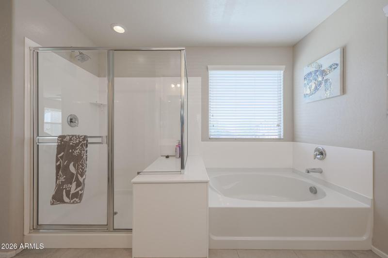 Separate Shower and Tub