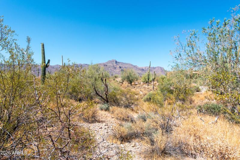 06-4782 S Pura Vida Way-6