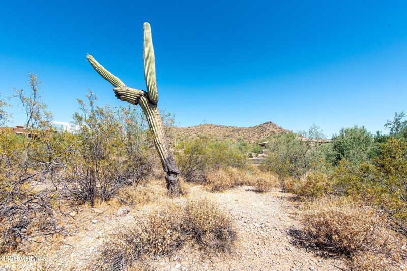 07-4782 S Pura Vida Way-7