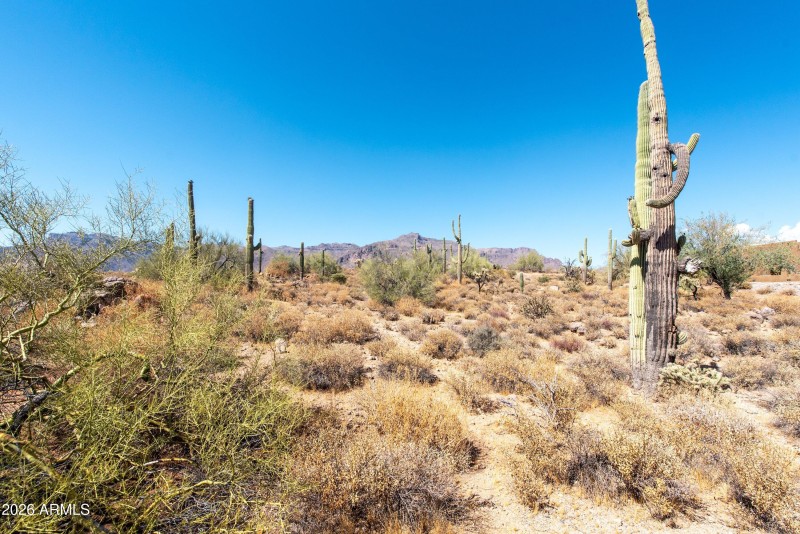 14-4782 S Pura Vida Way-14