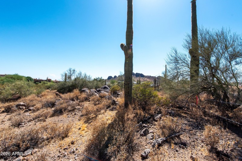 21-4782 S Pura Vida Way-21