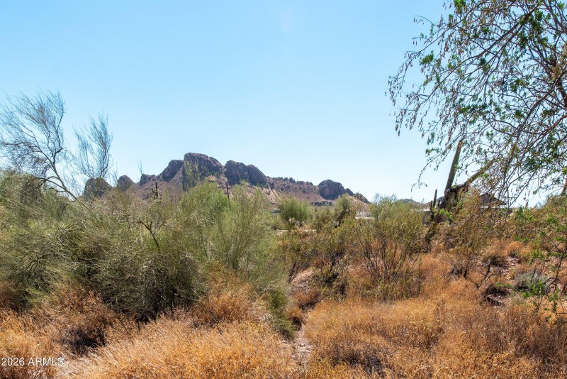 25-4782 S Pura Vida Way-25