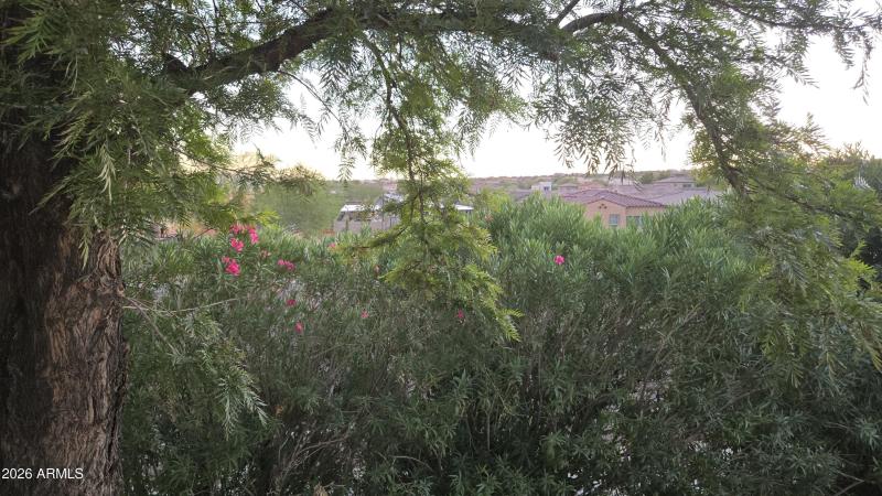 70) 60277-6902c6ad75e2a