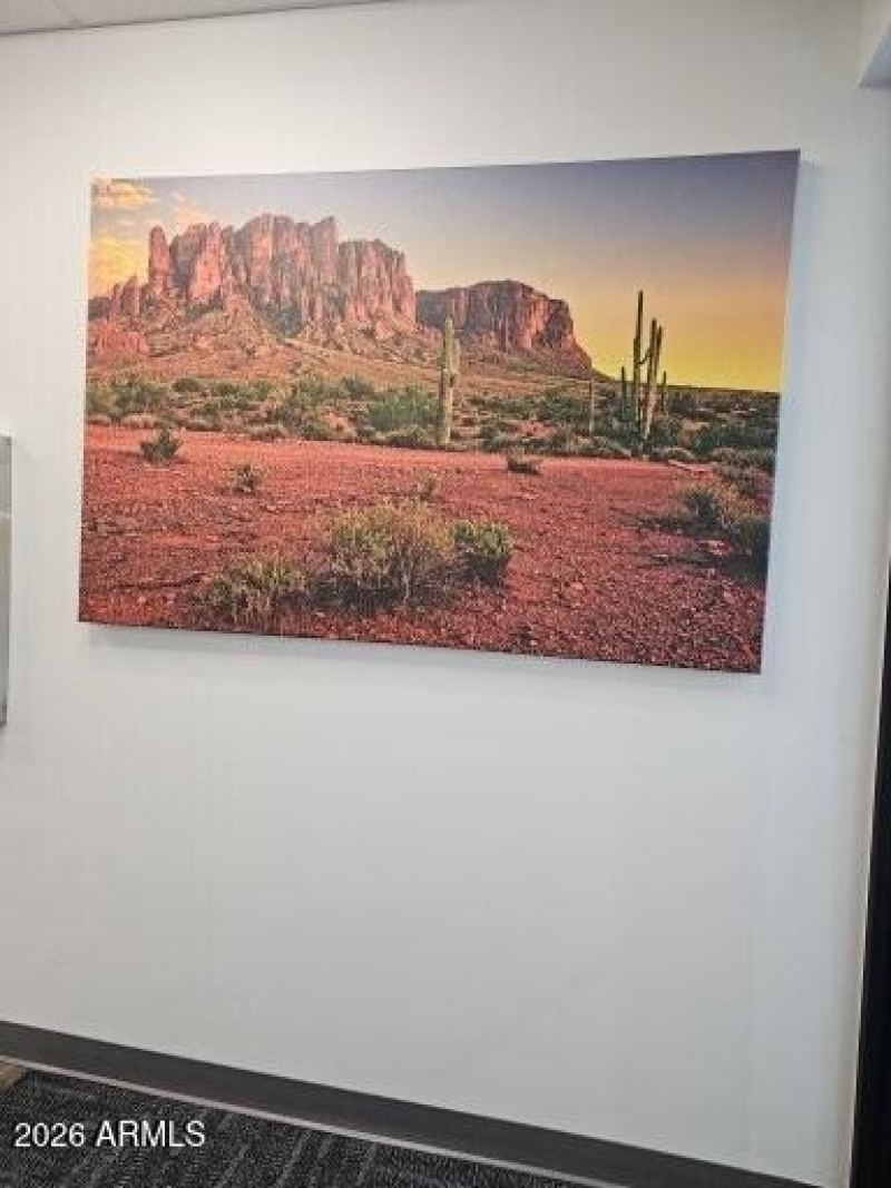 AZ BEAUTY W/SUNSHINE YEAR ROUND