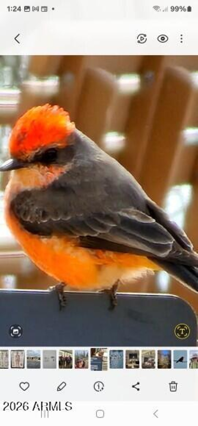 special beauty in the park