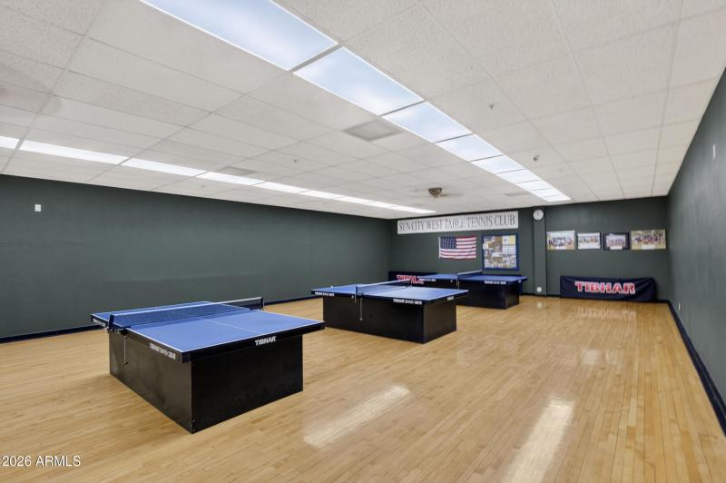 Community Table Tennis