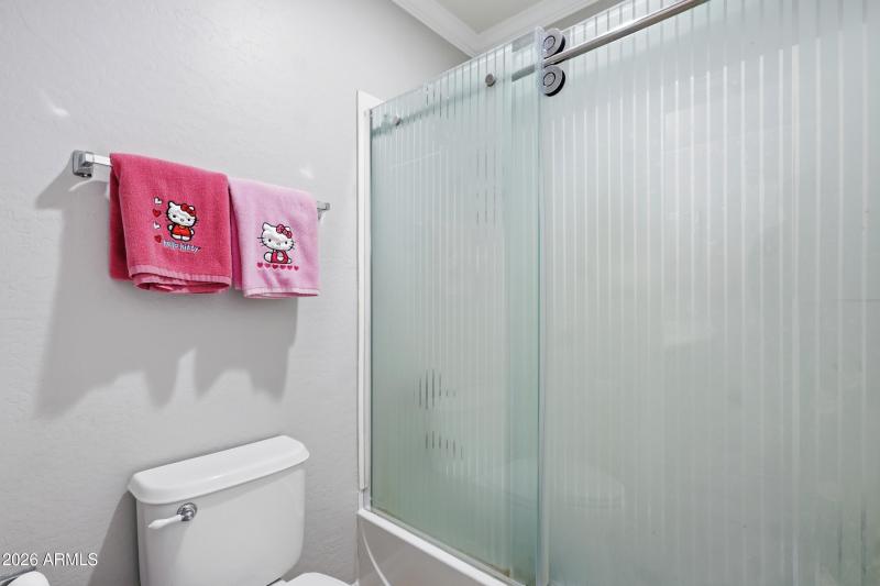 custom shower doors at hall bath