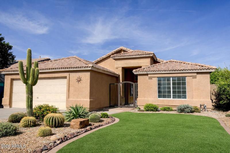 Idea for Front yard landscaping