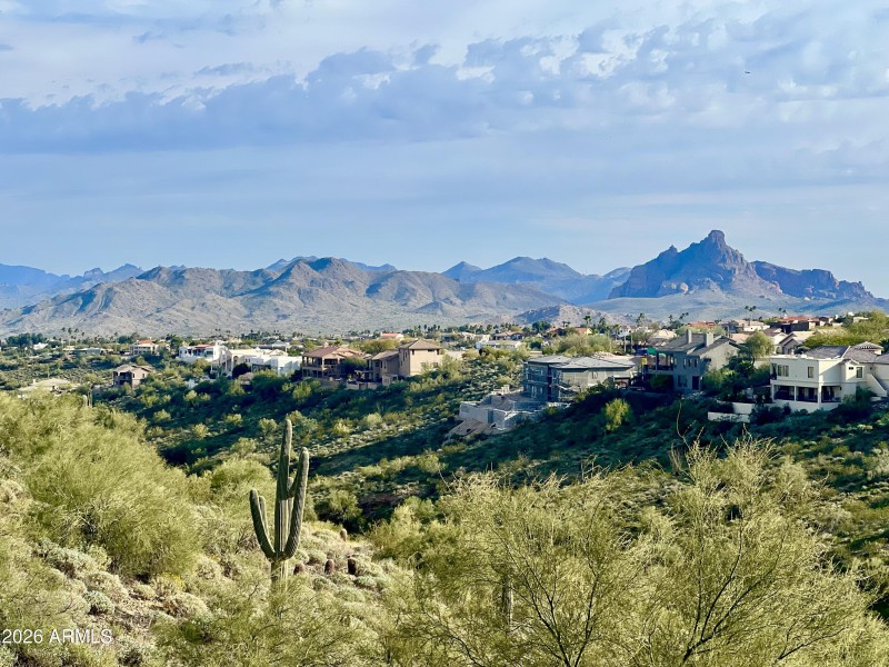 Sycamore_TerraceView