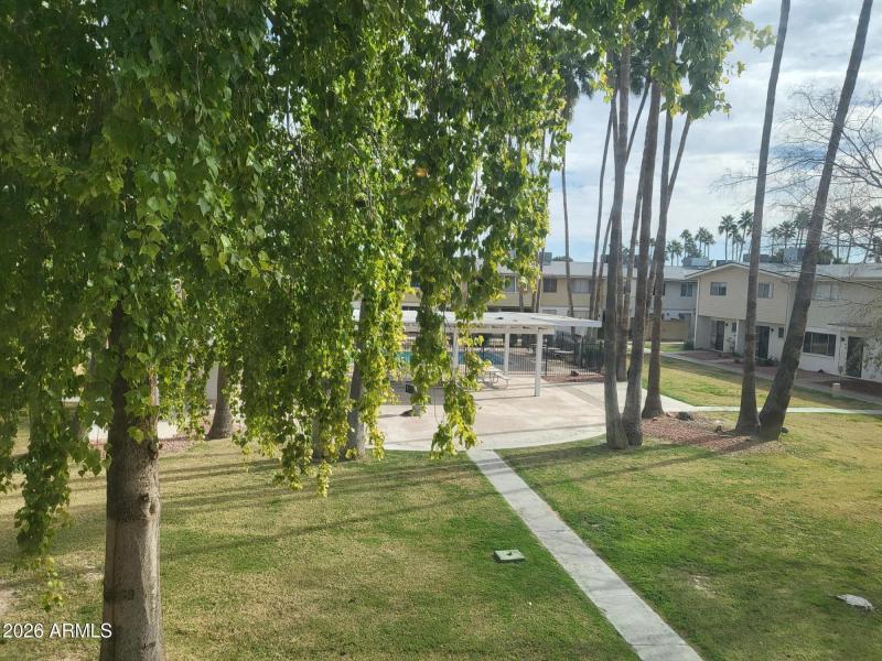 VIEW FROM LIVING ROOM